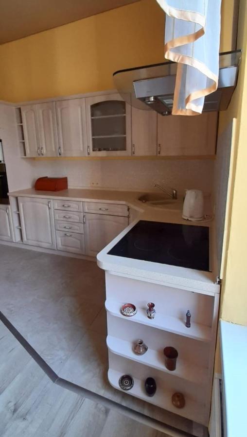 Apartament Kasztanowy Apartment Gliwice Bagian luar foto