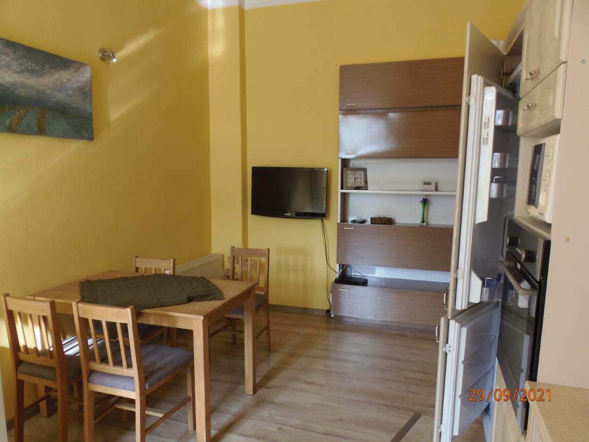 Apartament Kasztanowy Apartment Gliwice Bagian luar foto